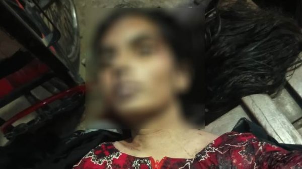 নিলুফা